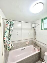 The Sunny Spring (D14), Apartment #594549131